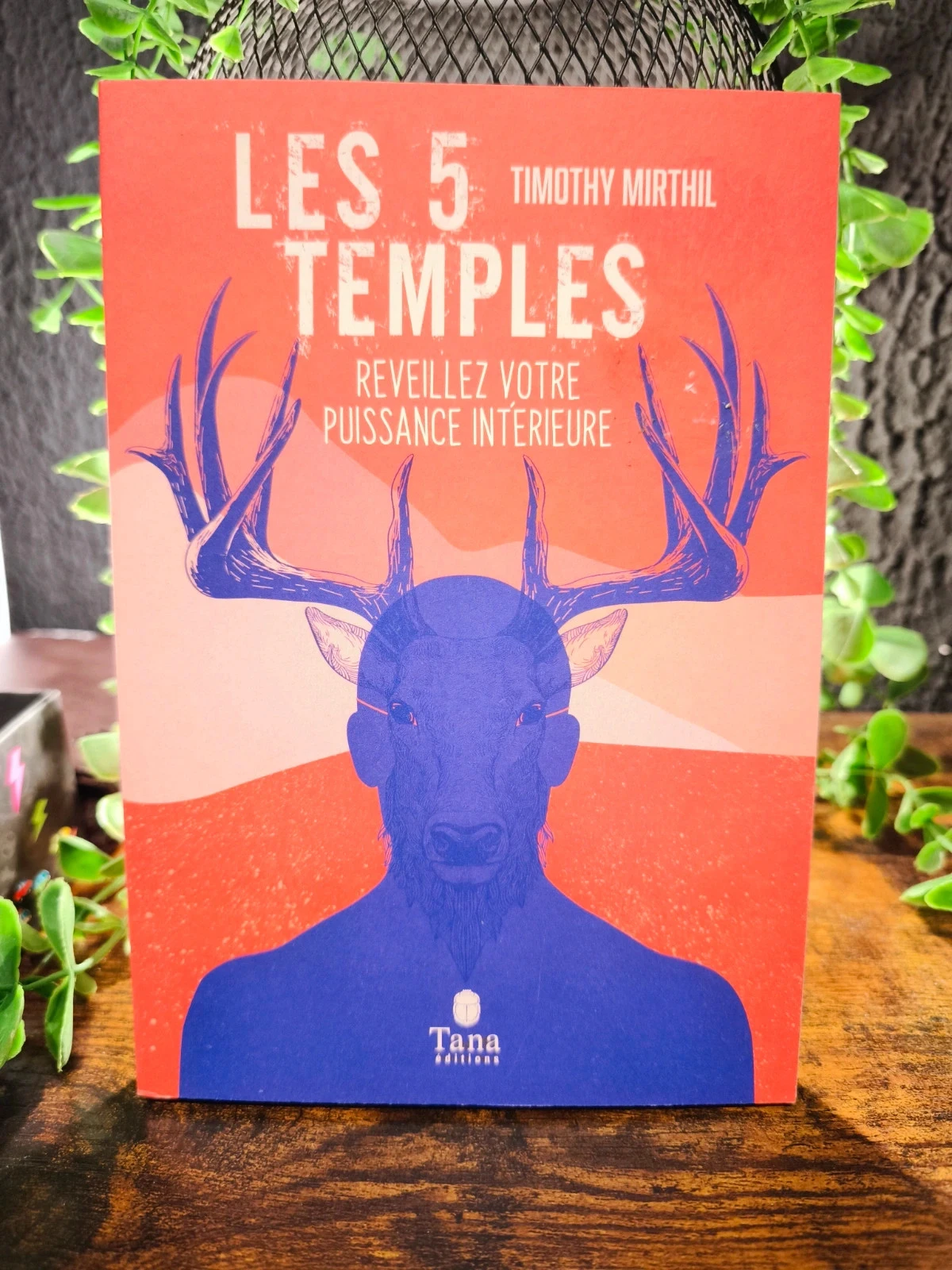 Les 5 temples